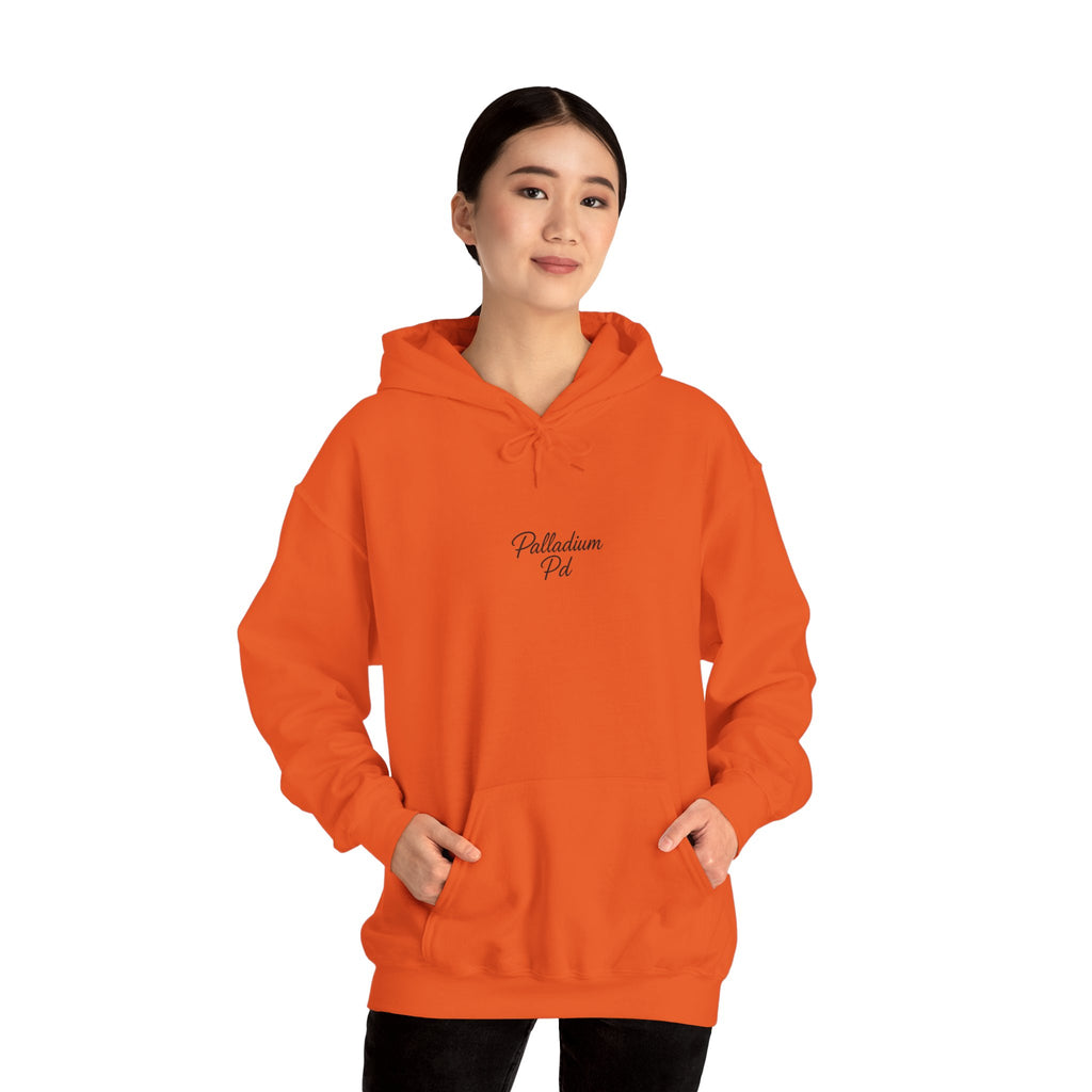Unisex Heavy Blend™ Hooded Sweatshirt - Top Bins