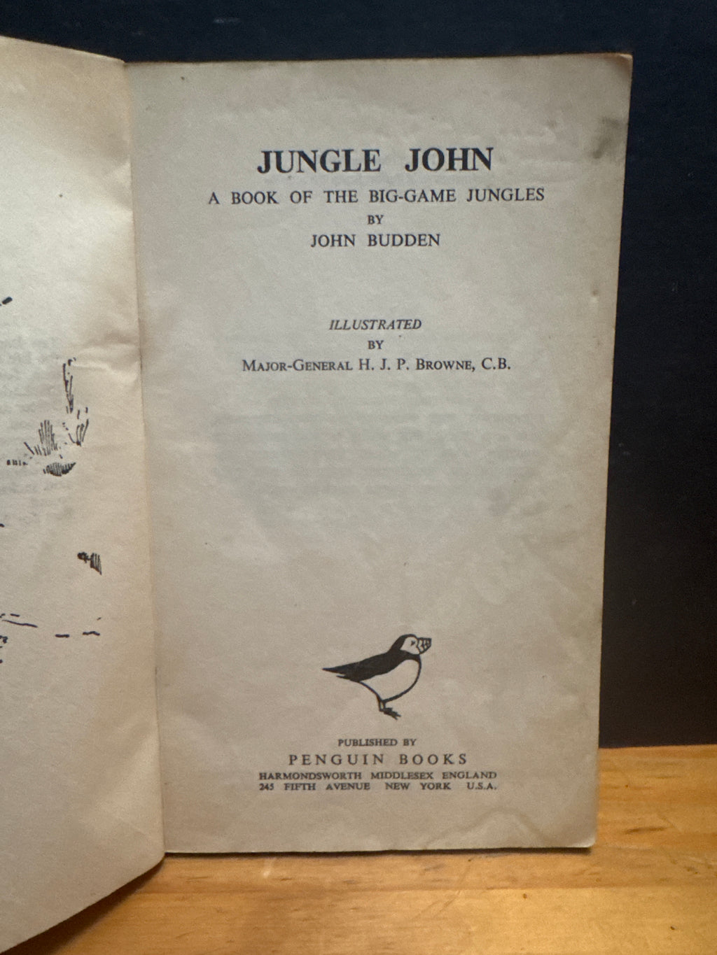 Jungle John by John Budden paperback book