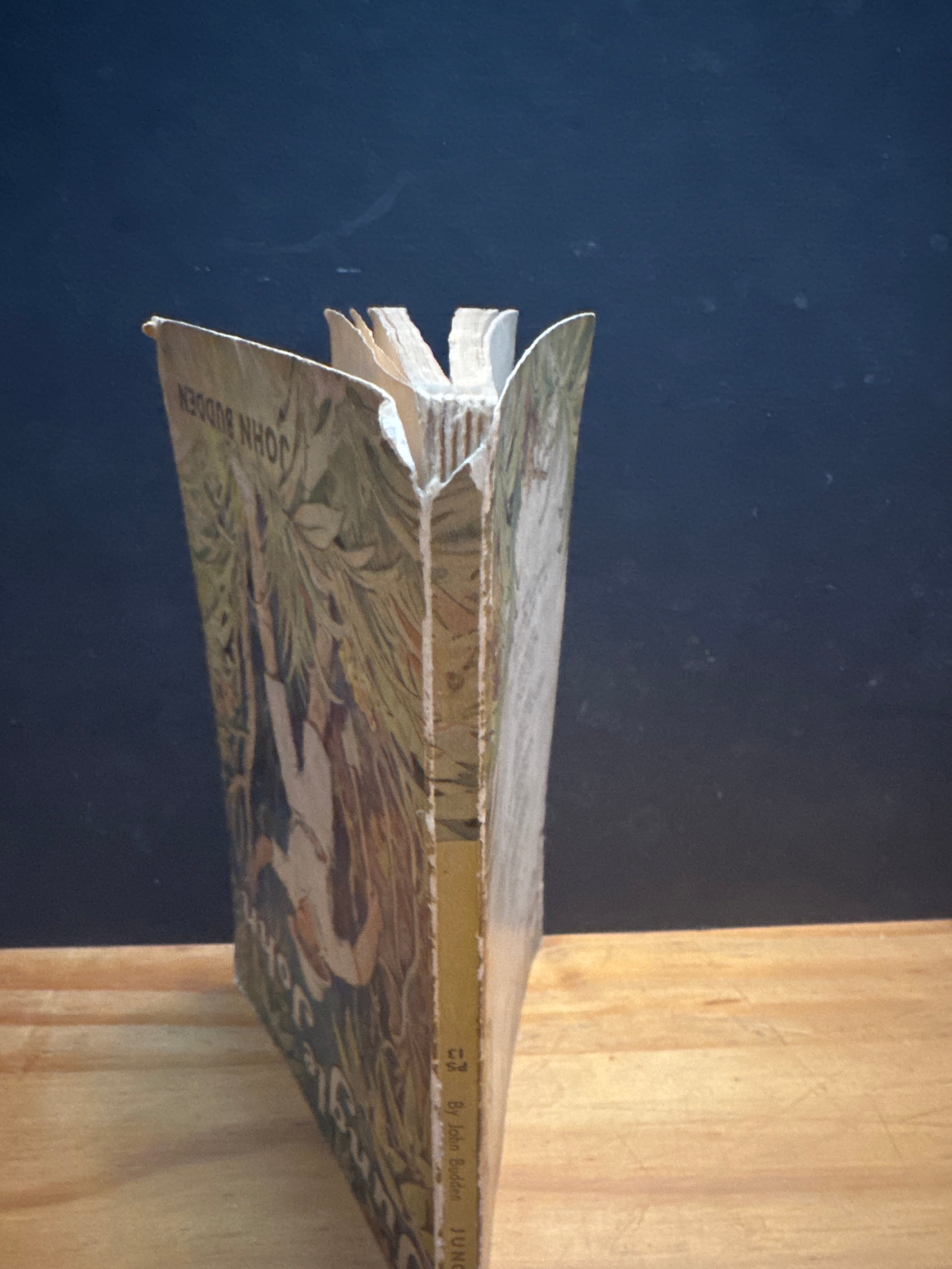 Jungle John by John Budden paperback book