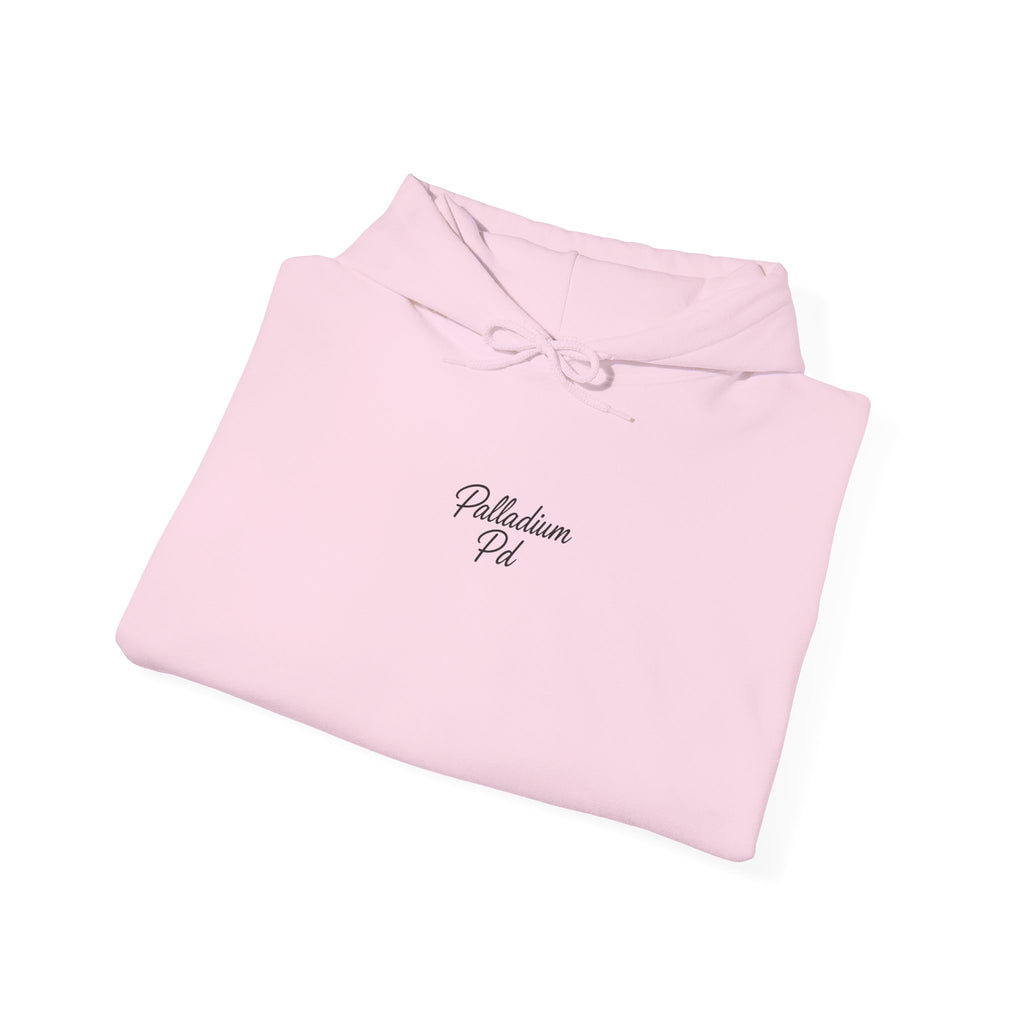 Too Much Energy? Or Just Enough? Hoodie