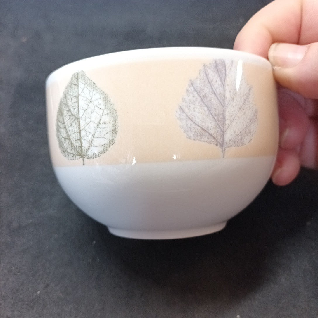 Staffordshire Tableware Cup And Saucer Leaf Pattern