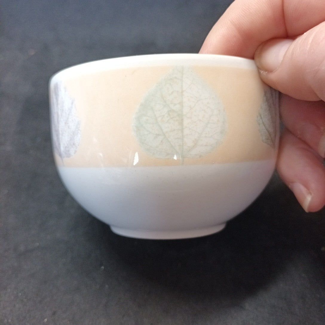 Staffordshire Tableware Cup And Saucer Leaf Pattern