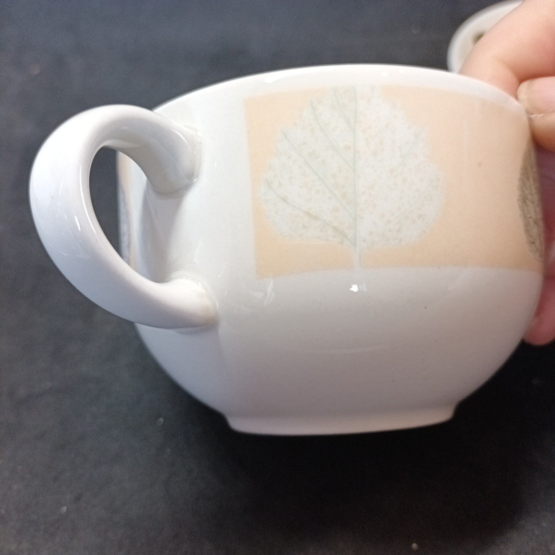 Staffordshire Tableware Cup And Saucer Leaf Pattern