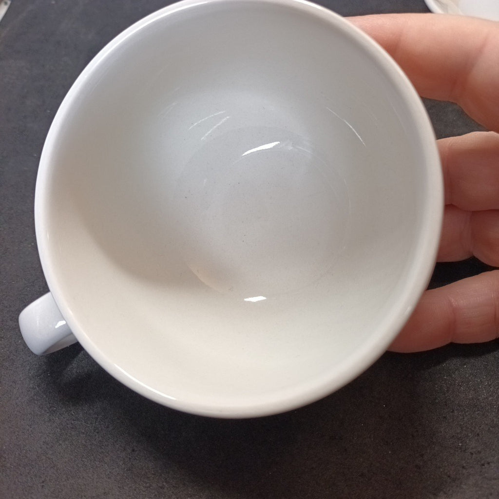 Staffordshire Tableware Cup And Saucer Leaf Pattern