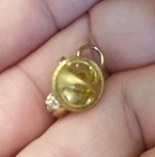 Brooch And Pin Bundle Costume Jewellery Brooches