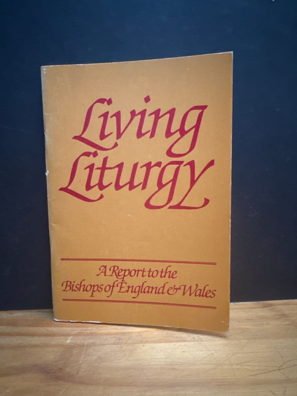 Living Liturgy, A Report to the Bishops of England & Wales paperback book