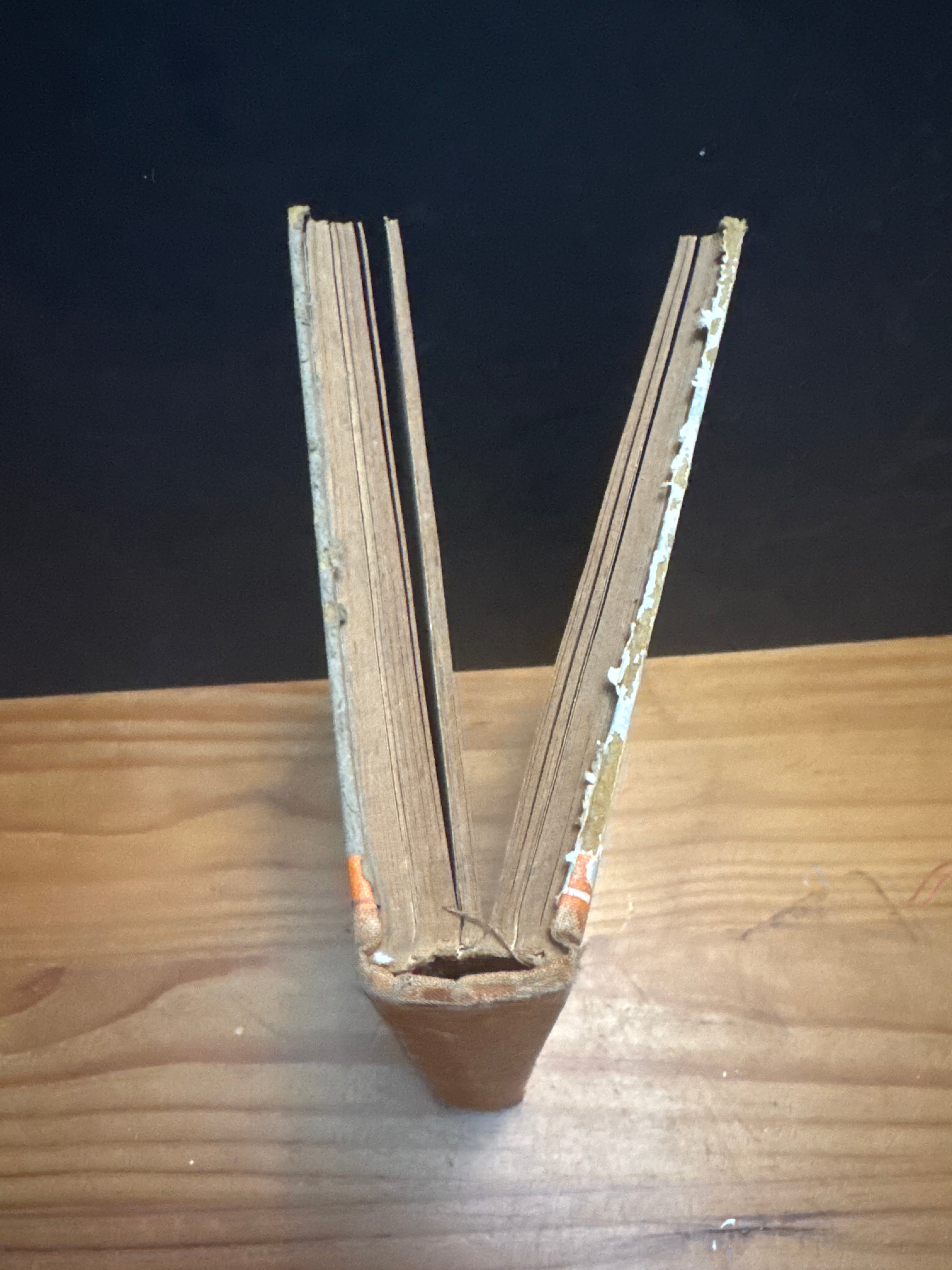 Romp Time Tales, hardcover book