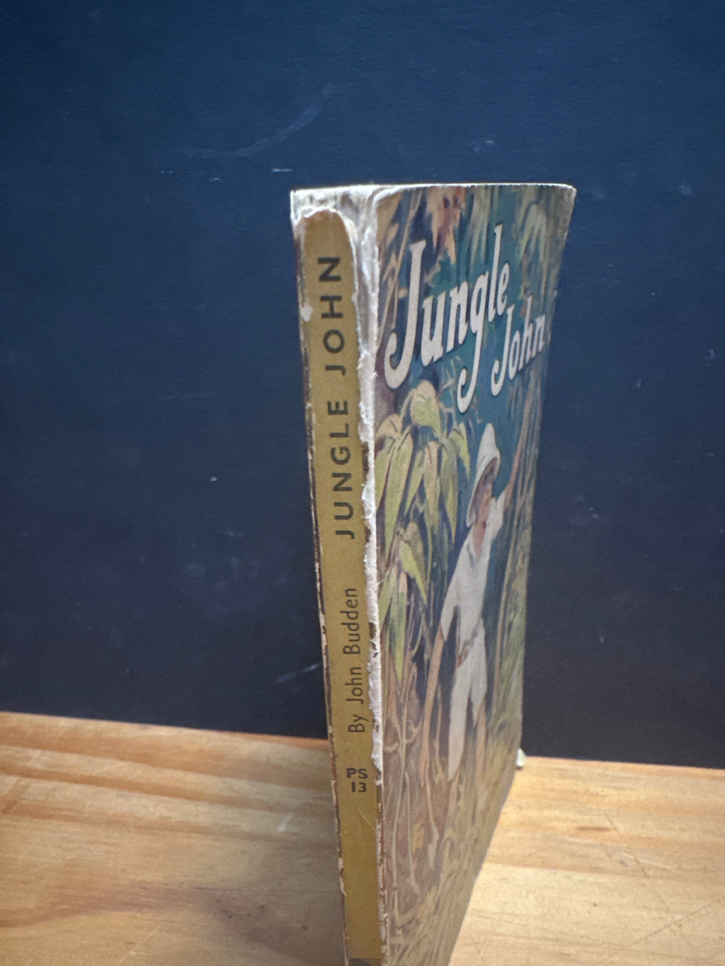 Jungle John by John Budden paperback book