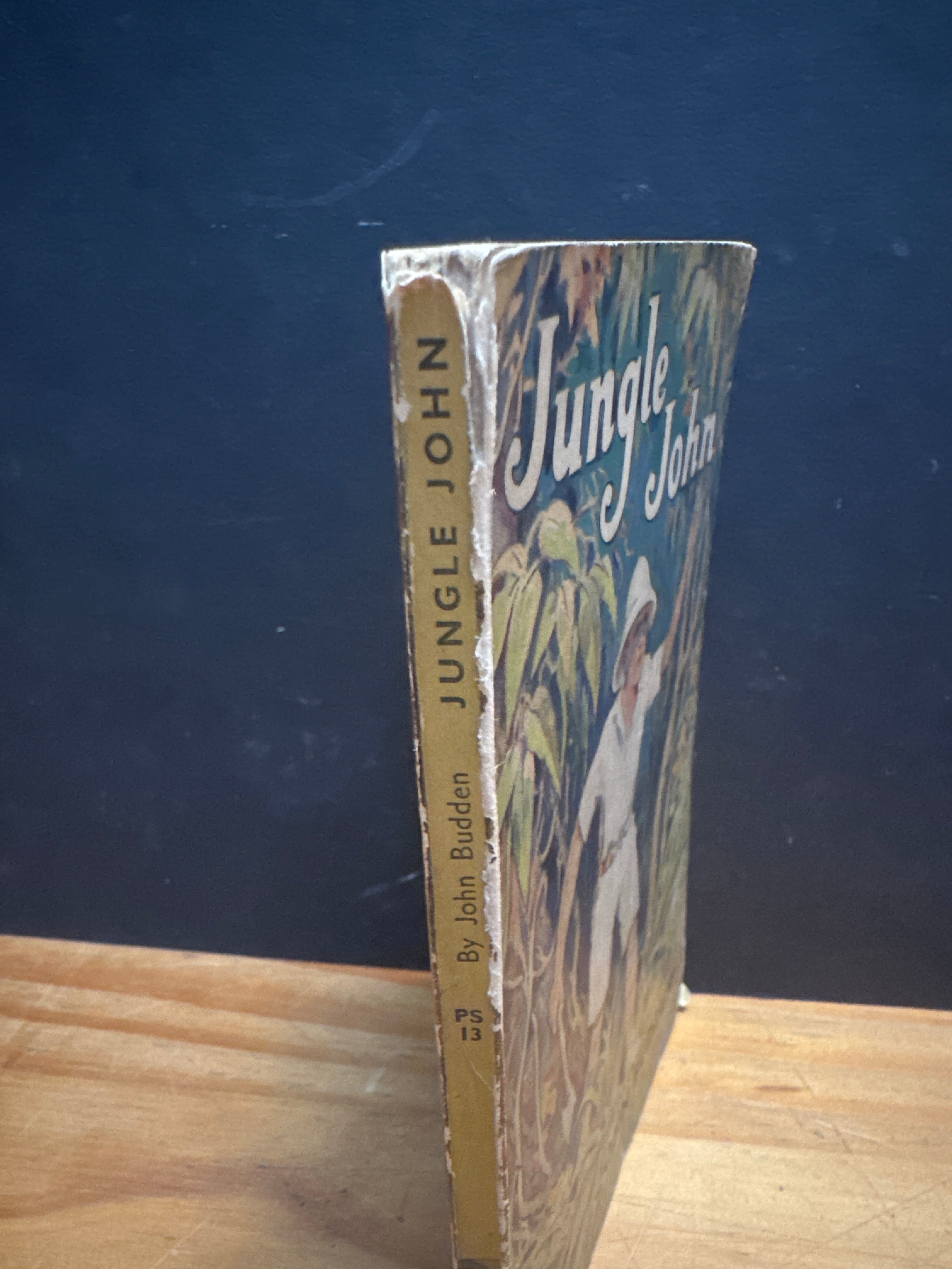 Jungle John by John Budden paperback book