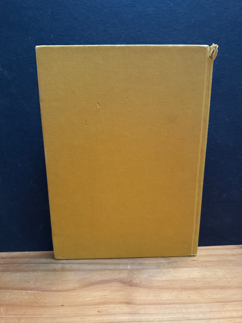 The Big Enid Blyton Book, hardcover
