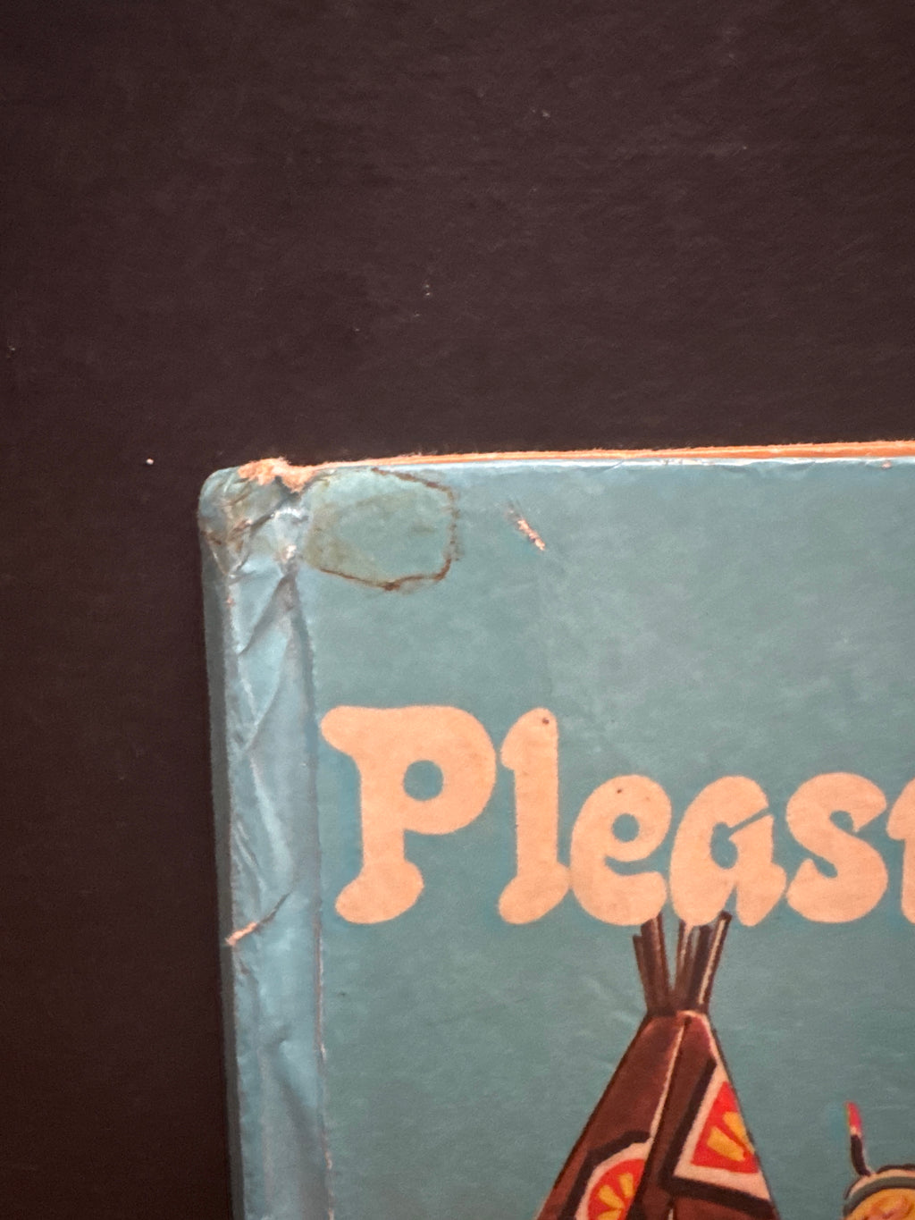 Pleasure Stories for Boys and Girls, hardcover book