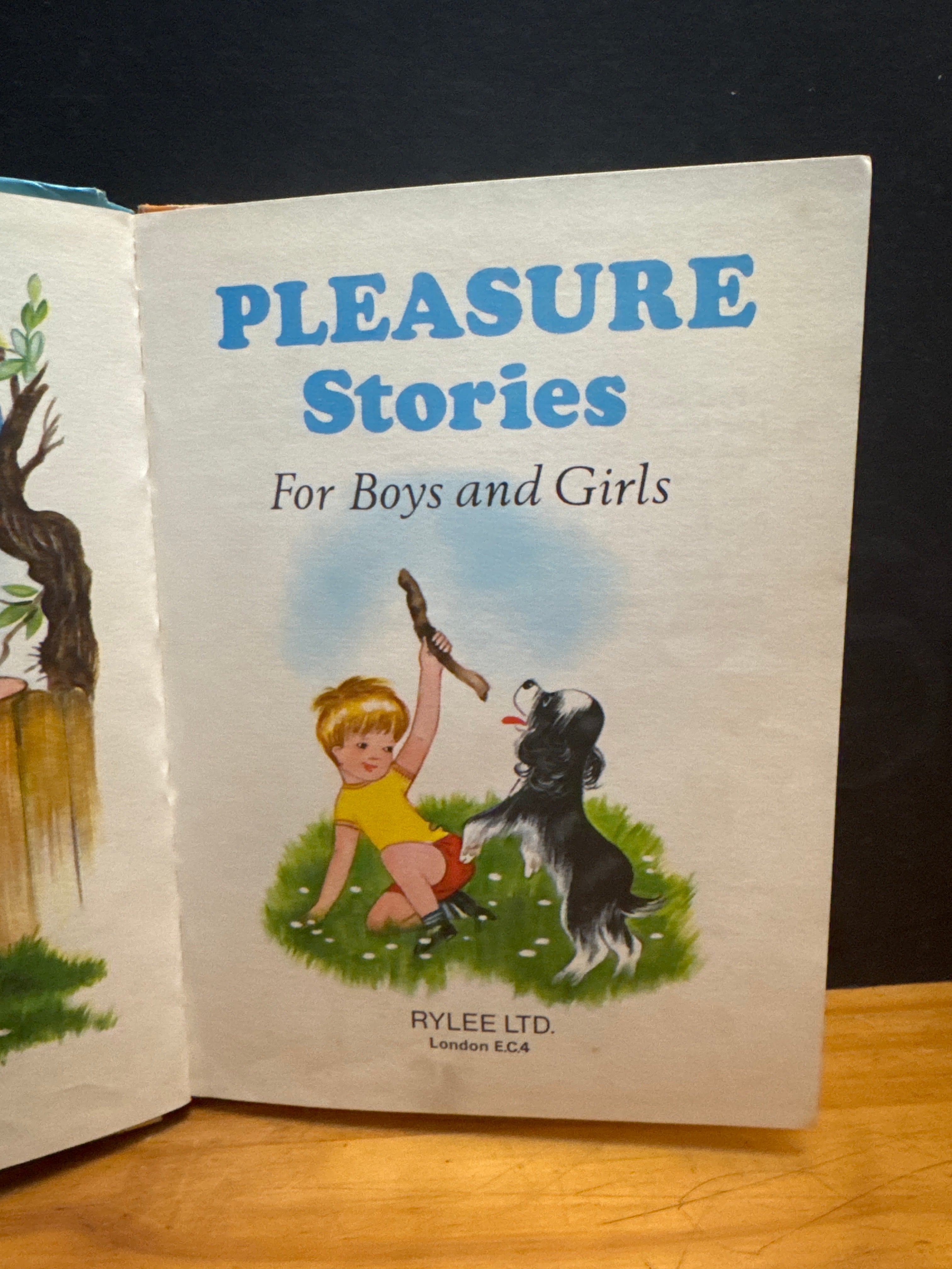 Pleasure Stories for Boys and Girls, hardcover book