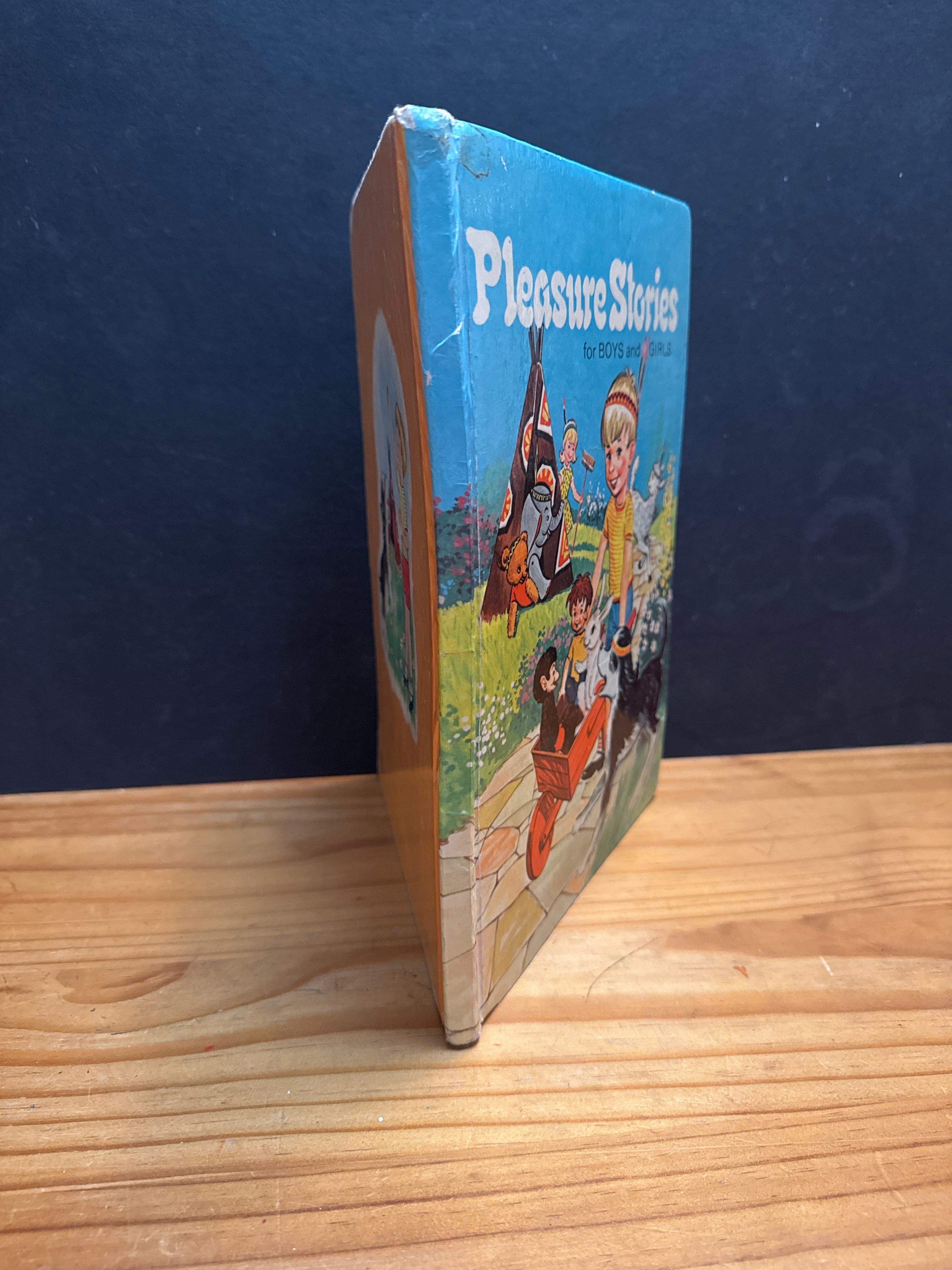Pleasure Stories for Boys and Girls, hardcover book