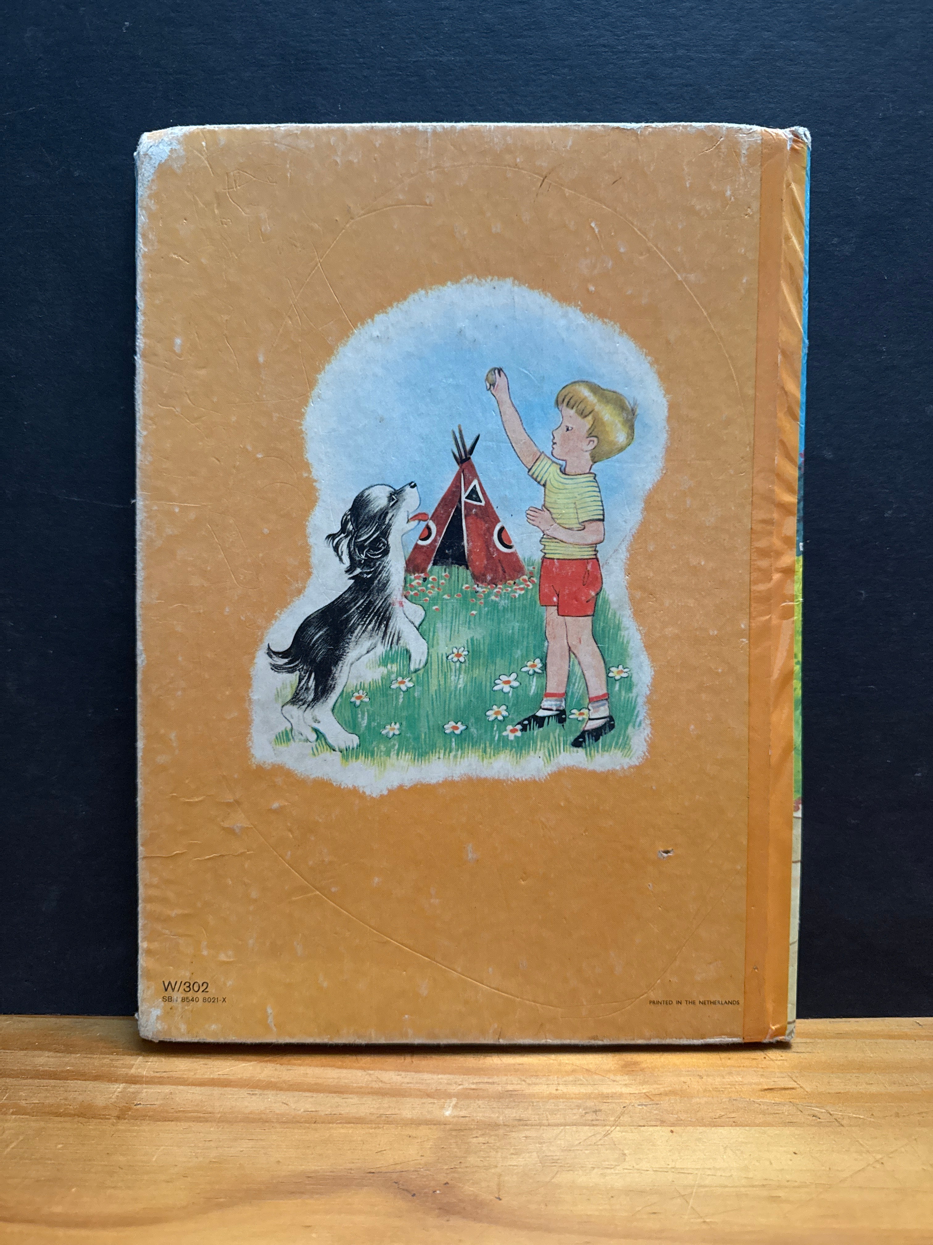 Pleasure Stories for Boys and Girls, hardcover book