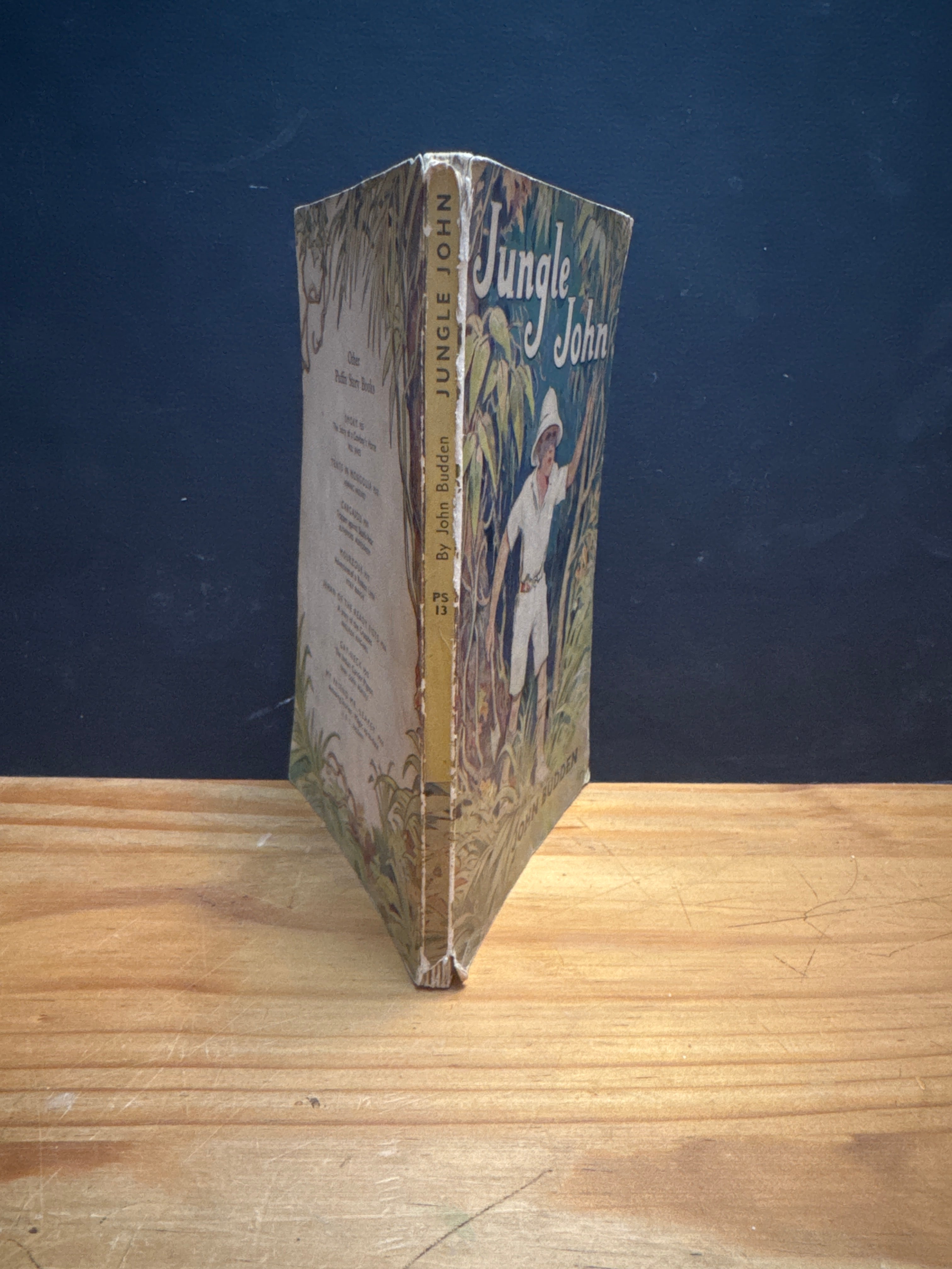 Jungle John by John Budden paperback book