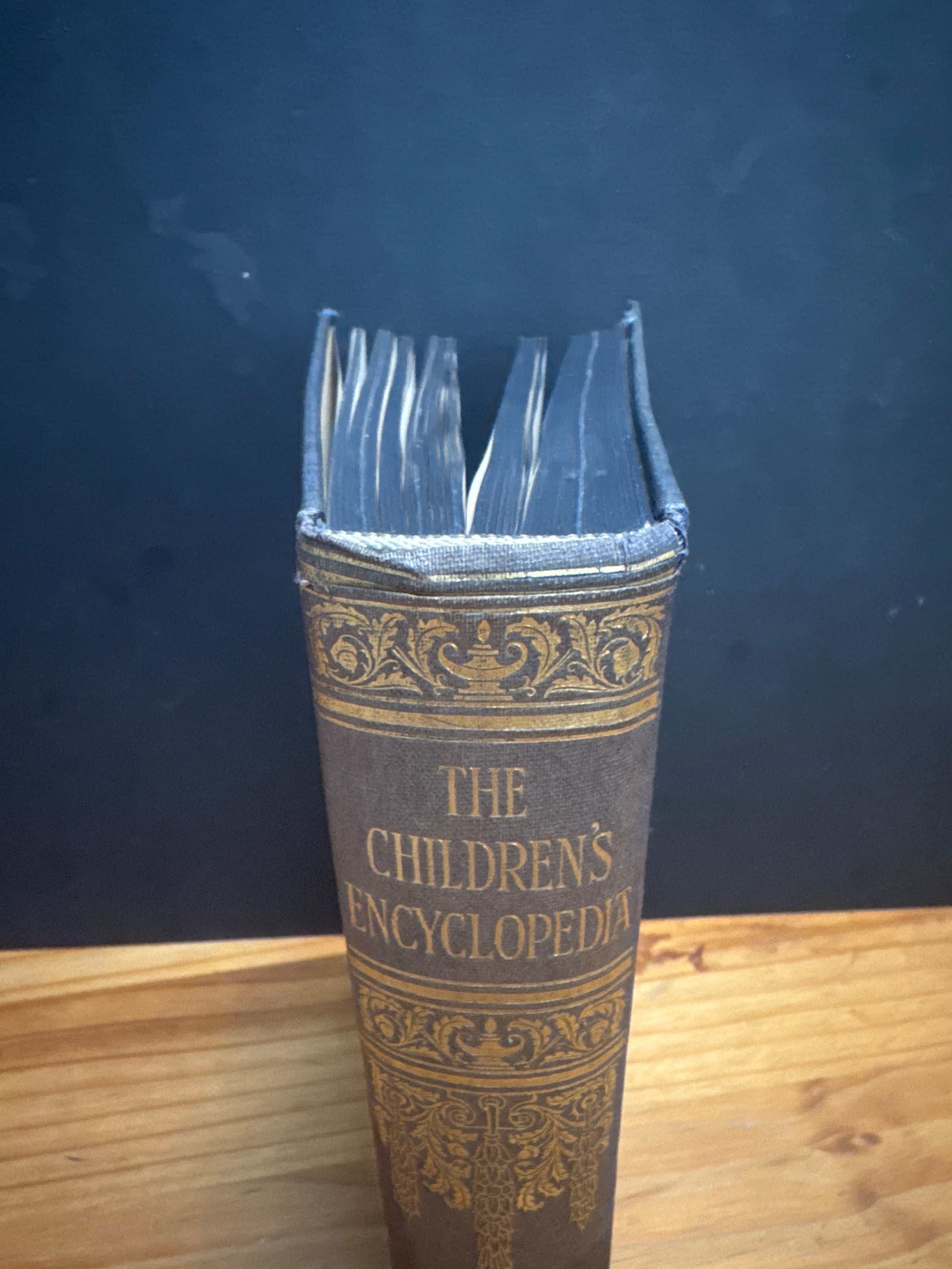 Children’s Encyclopaedia Volume 4, Hardcover